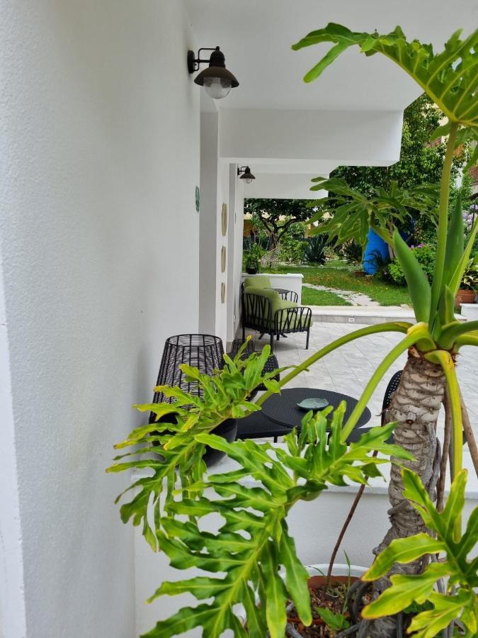 Bed & Breakfast Kamalei Tropea